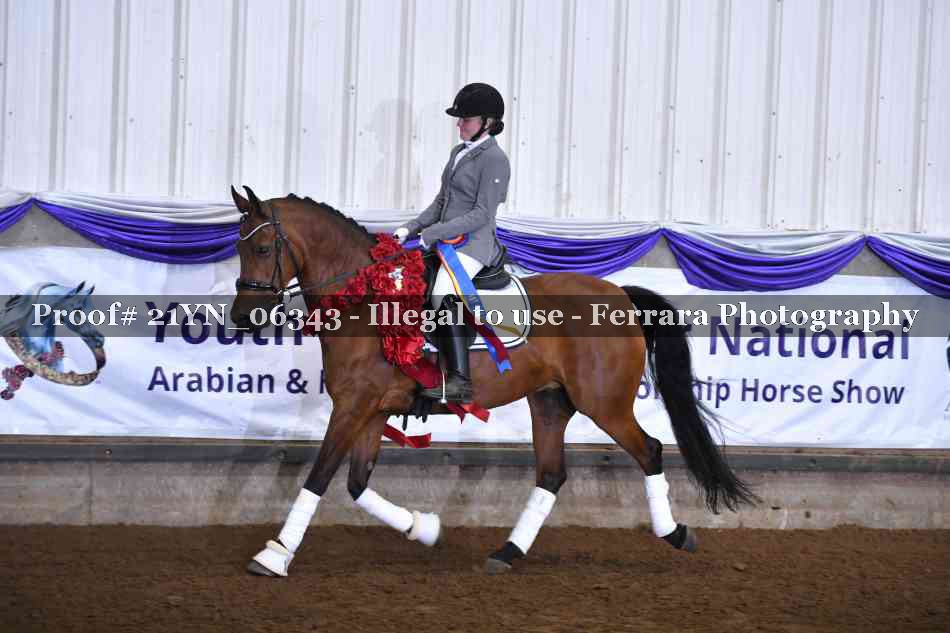 Proof Number 21YN_06343