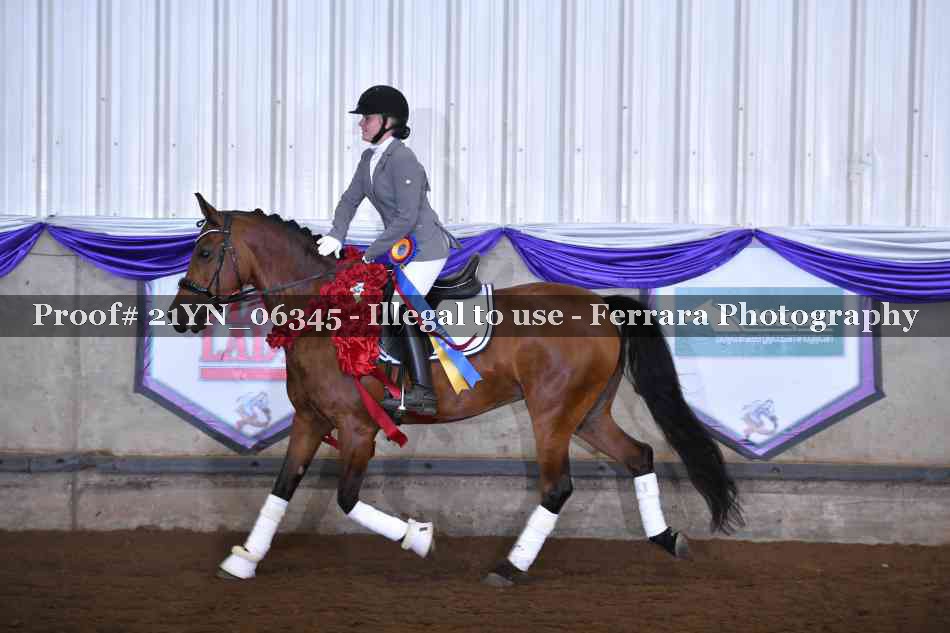 Proof Number 21YN_06345