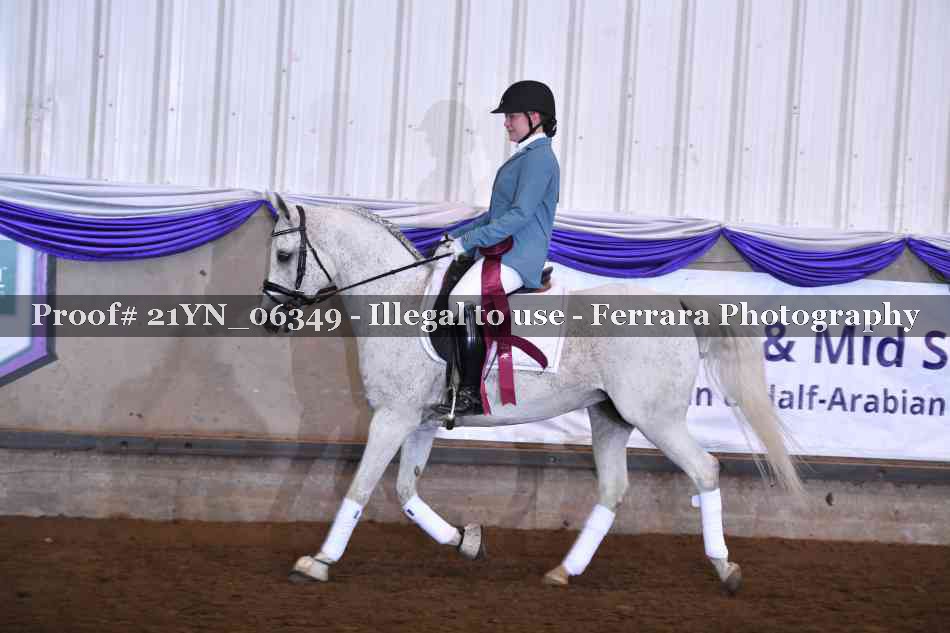 Proof Number 21YN_06349