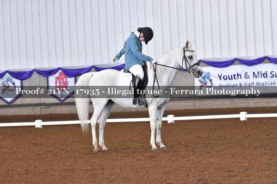 Proof Number 21YN_17935