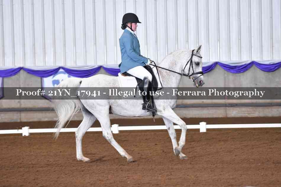 Proof Number 21YN_17941
