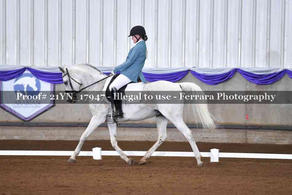 Proof Number 21YN_17947
