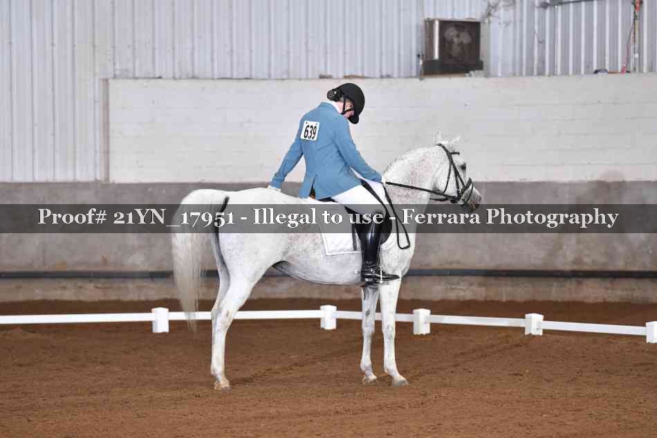 Proof Number 21YN_17951