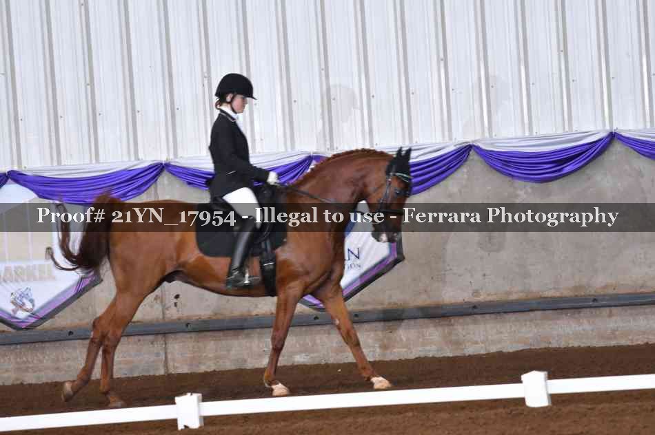 Proof Number 21YN_17954