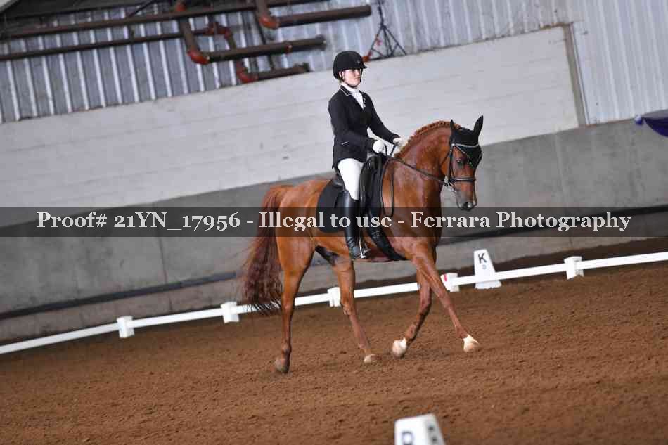 Proof Number 21YN_17956