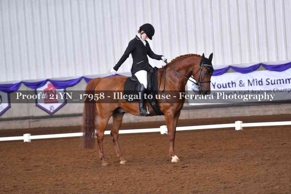 Proof Number 21YN_17958