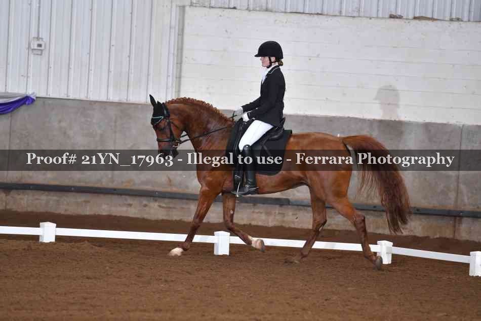Proof Number 21YN_17963