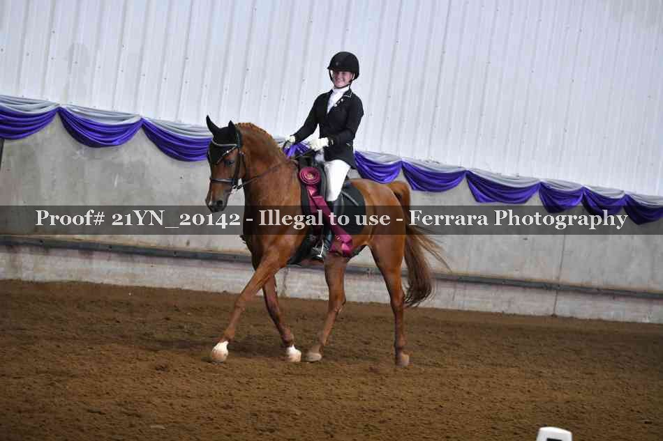 Proof Number 21YN_20142