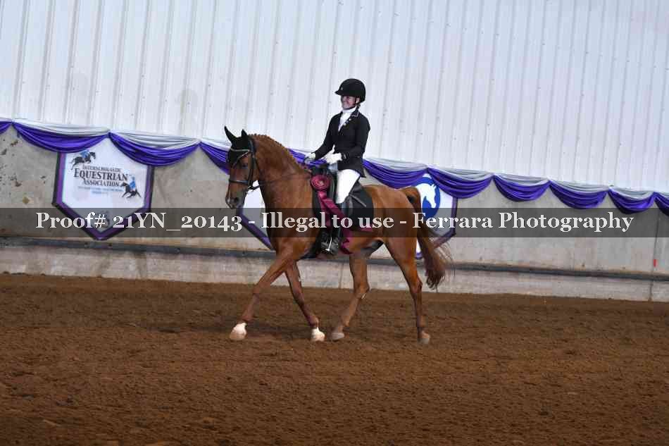 Proof Number 21YN_20143