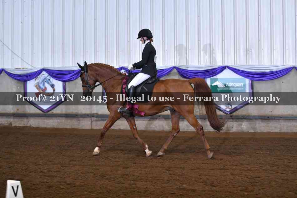 Proof Number 21YN_20145