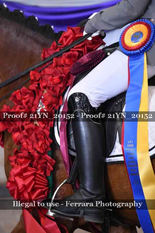 Proof Number 21YN_20152