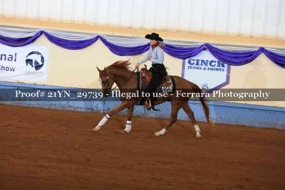 Proof Number 21YN_29739