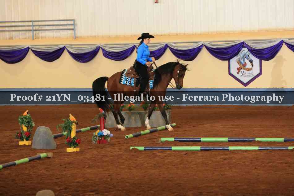 Proof Number 21YN_03481