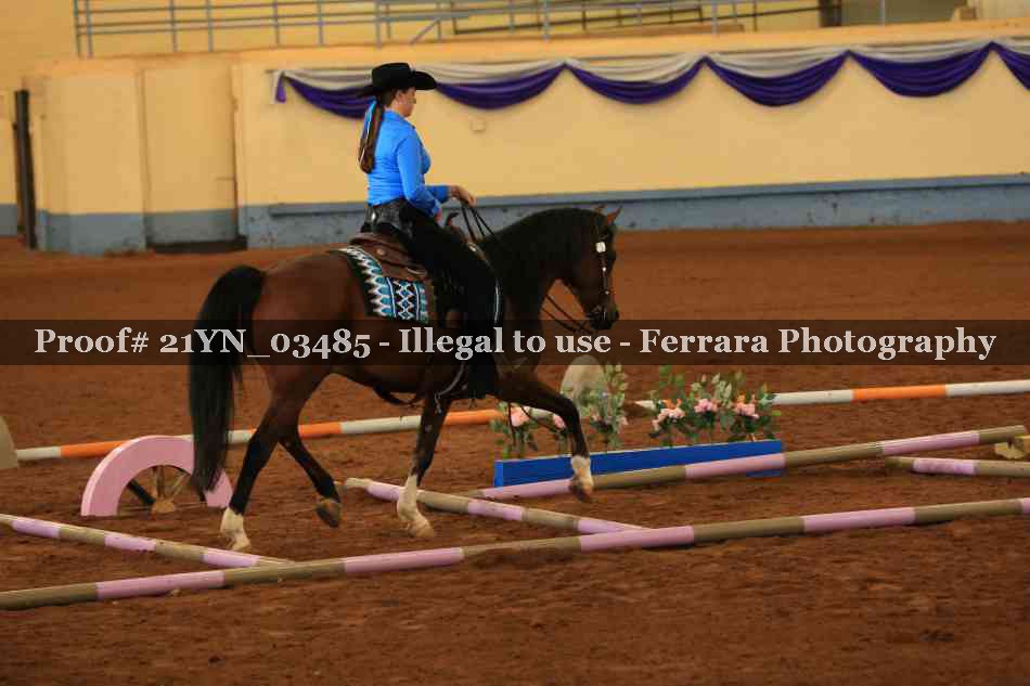 Proof Number 21YN_03485