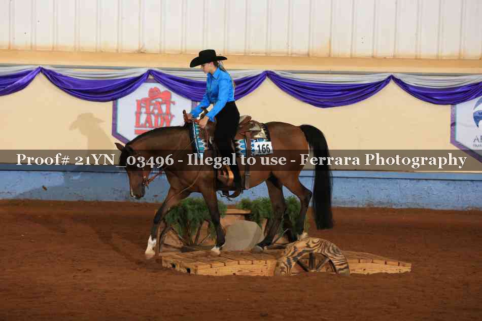 Proof Number 21YN_03496