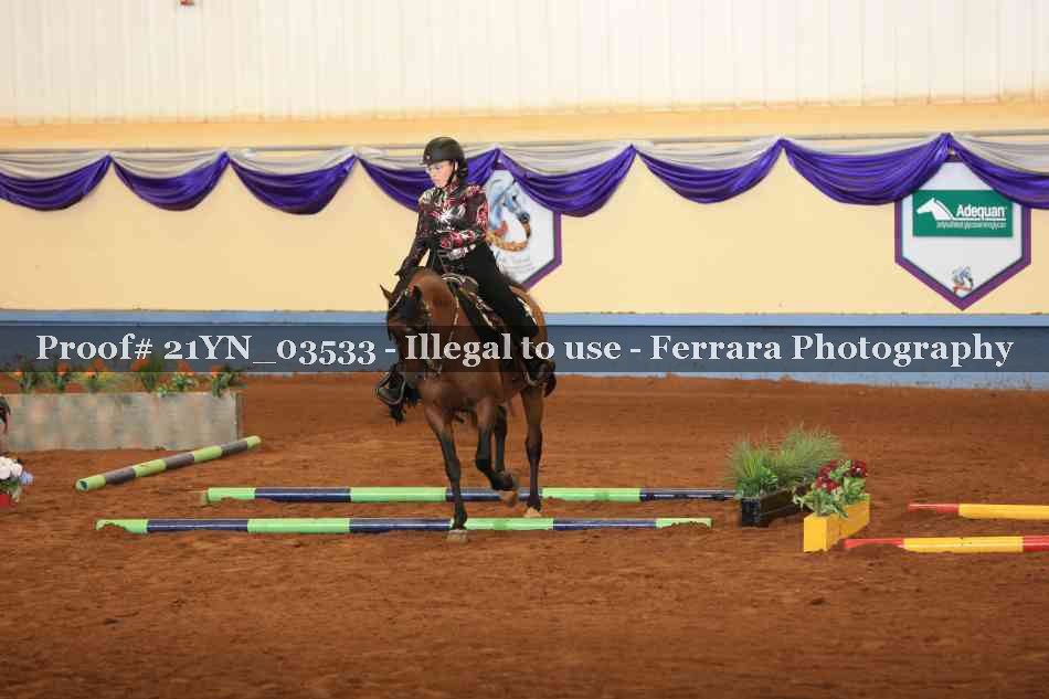 Proof Number 21YN_03533