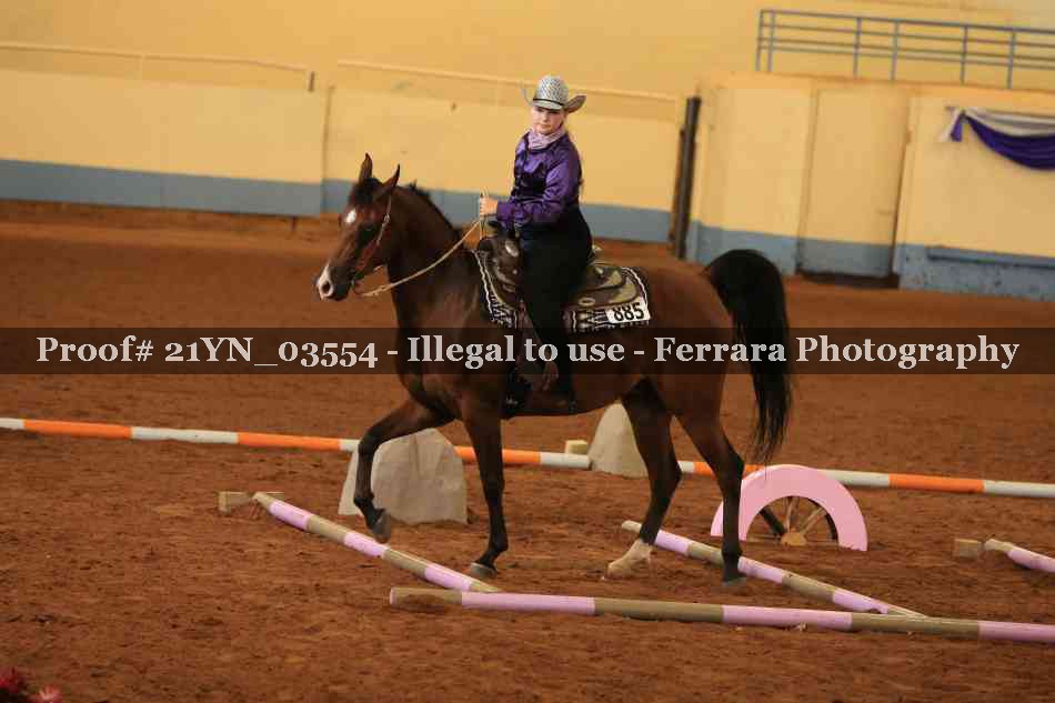 Proof Number 21YN_03554