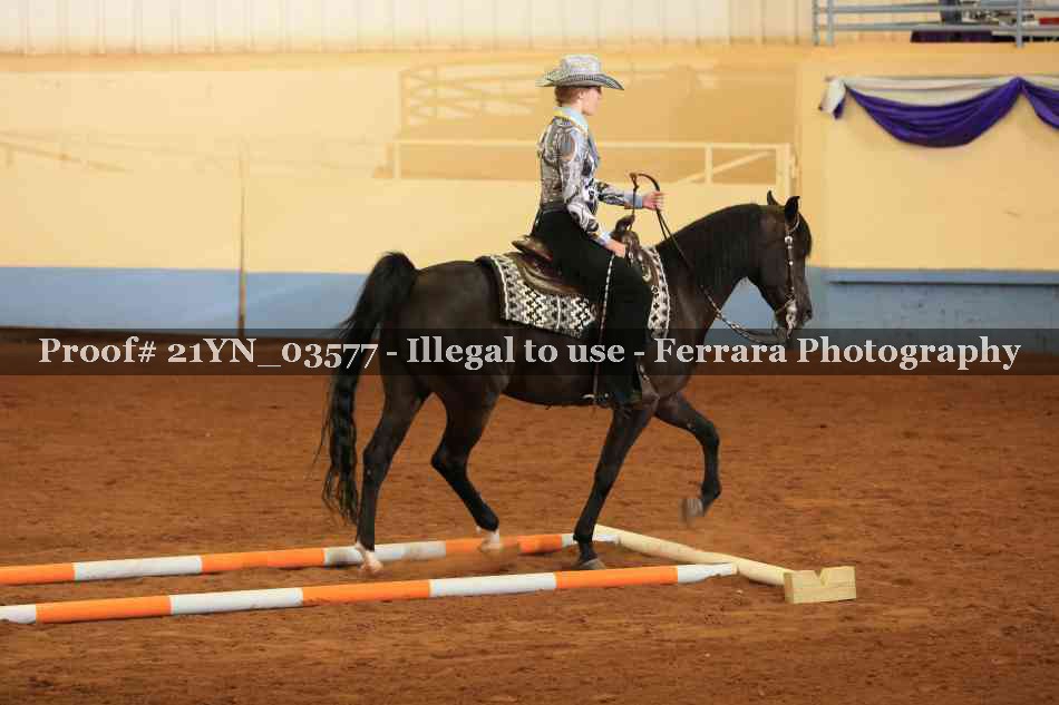 Proof Number 21YN_03577