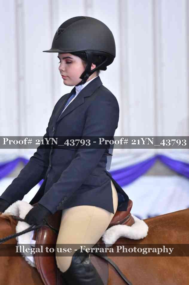 Proof Number 21YN_43793