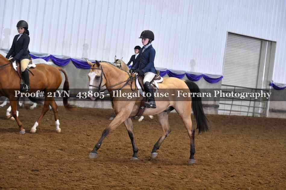 Proof Number 21YN_43805