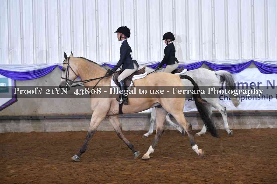 Proof Number 21YN_43808