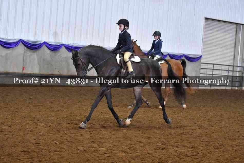 Proof Number 21YN_43831