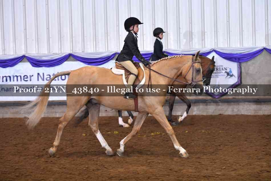 Proof Number 21YN_43840