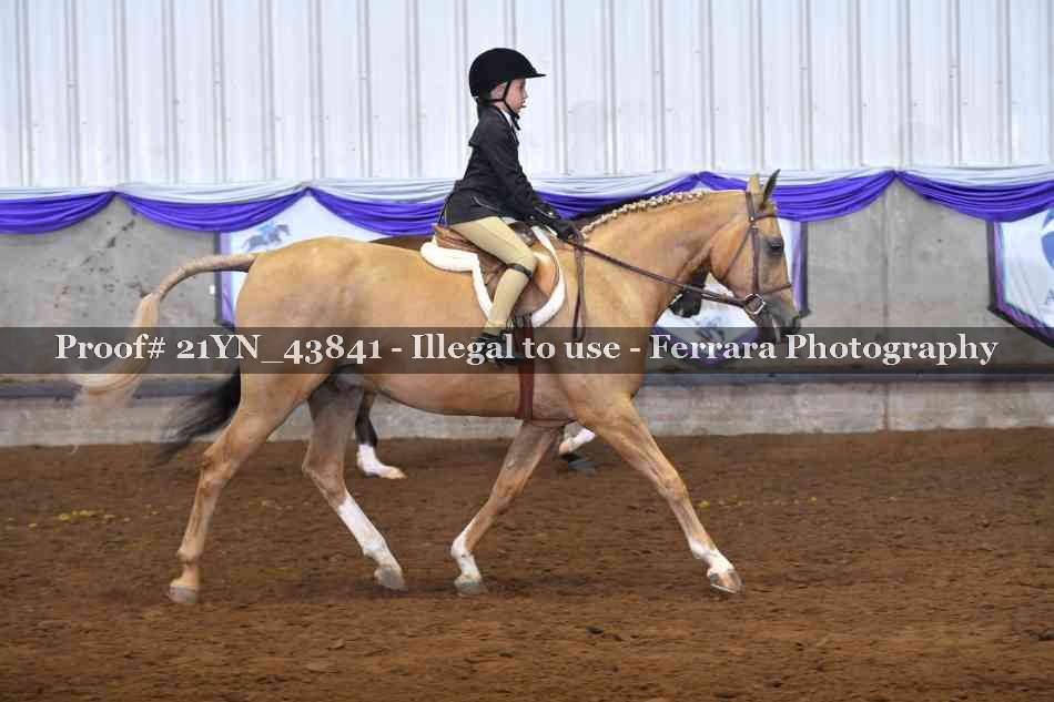 Proof Number 21YN_43841