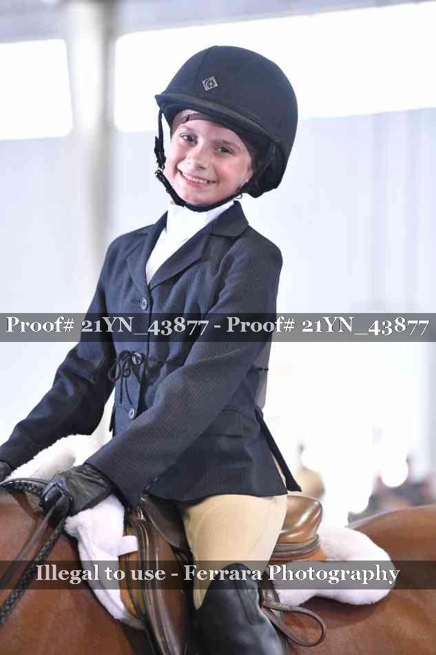 Proof Number 21YN_43877