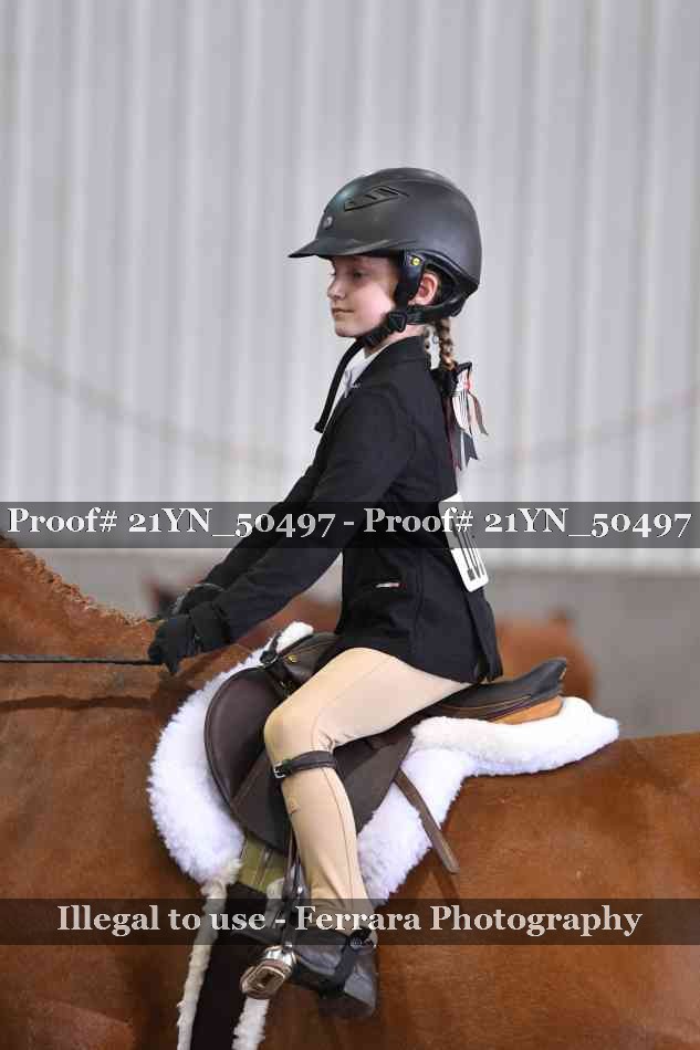 Proof Number 21YN_50497