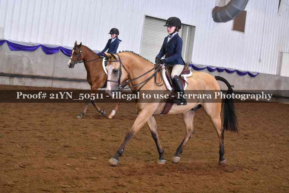 Proof Number 21YN_50511