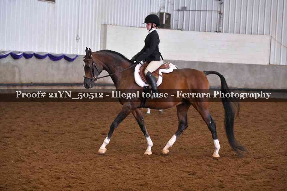Proof Number 21YN_50512