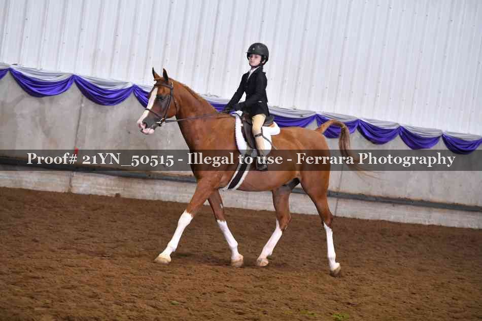 Proof Number 21YN_50515