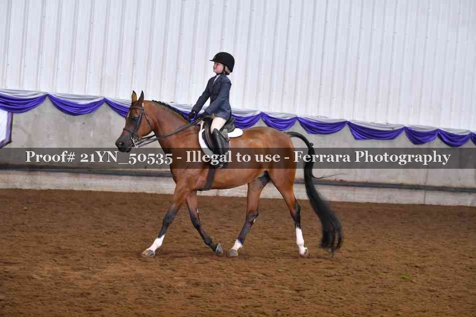 Proof Number 21YN_50535