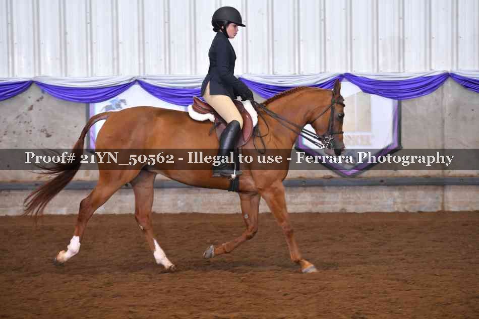 Proof Number 21YN_50562