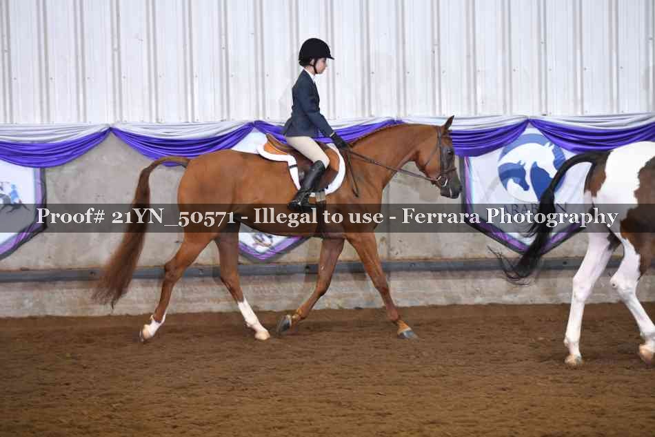 Proof Number 21YN_50571