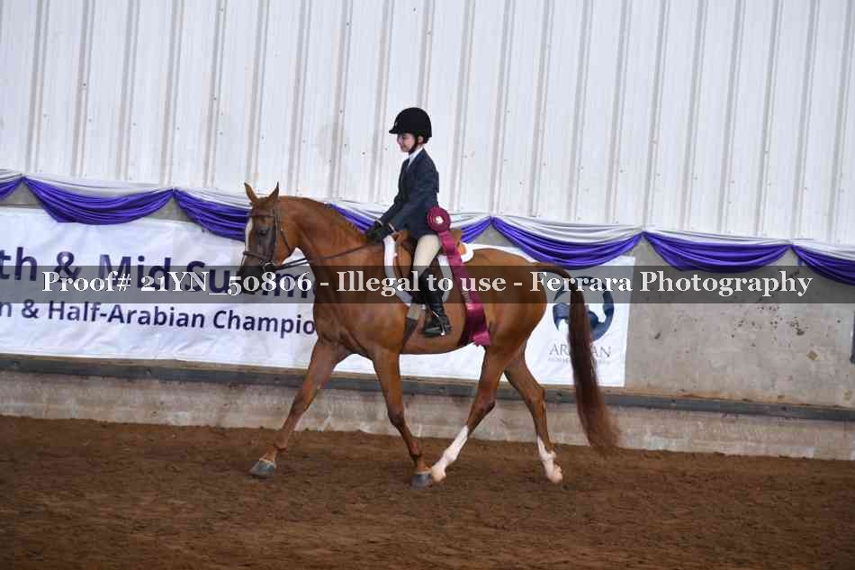 Proof Number 21YN_50806