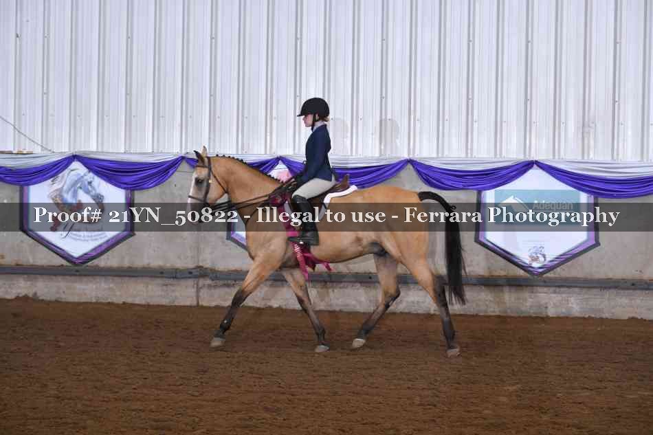Proof Number 21YN_50822