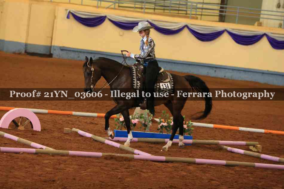 Proof Number 21YN_03606