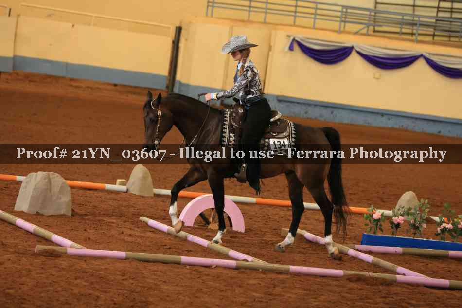 Proof Number 21YN_03607
