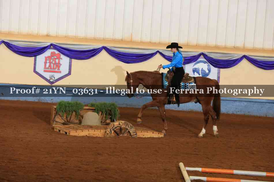 Proof Number 21YN_03631