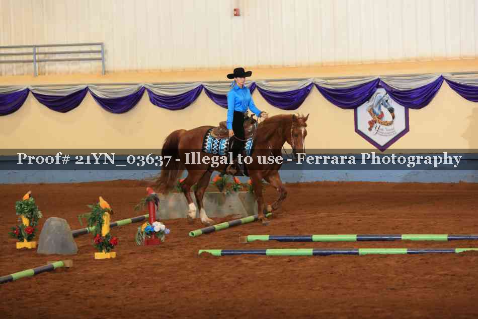 Proof Number 21YN_03637
