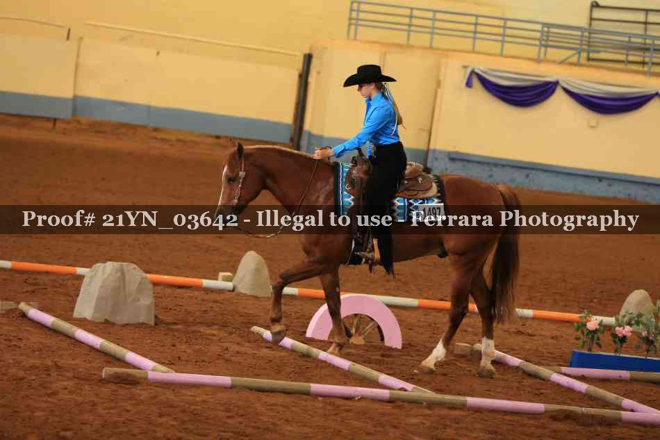 Proof Number 21YN_03642