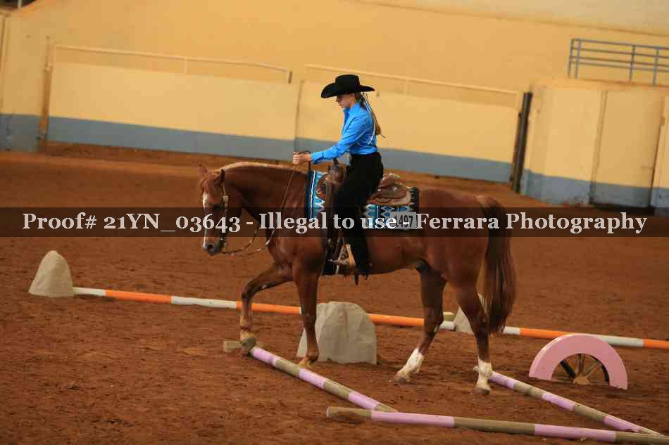 Proof Number 21YN_03643