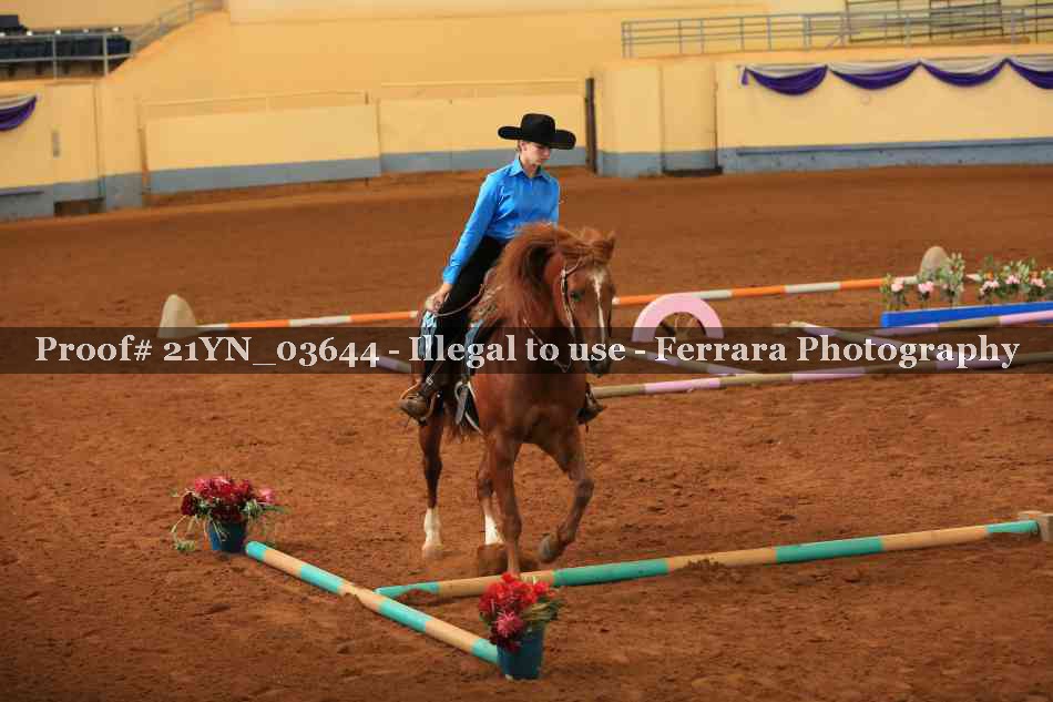 Proof Number 21YN_03644