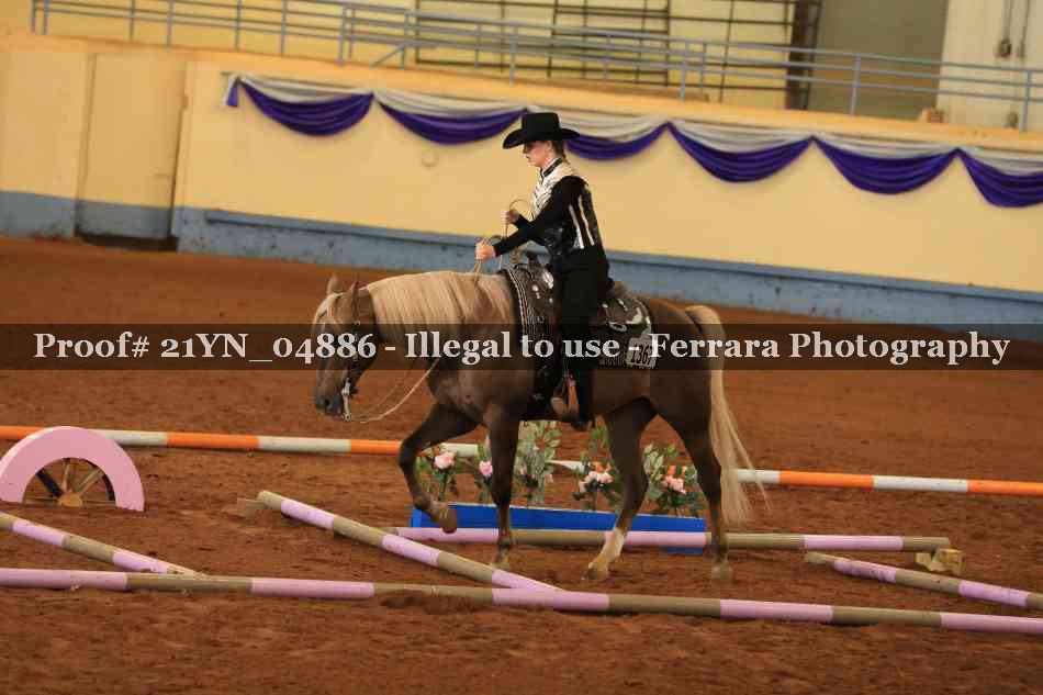 Proof Number 21YN_04886