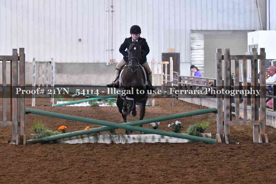 Proof Number 21YN_54114