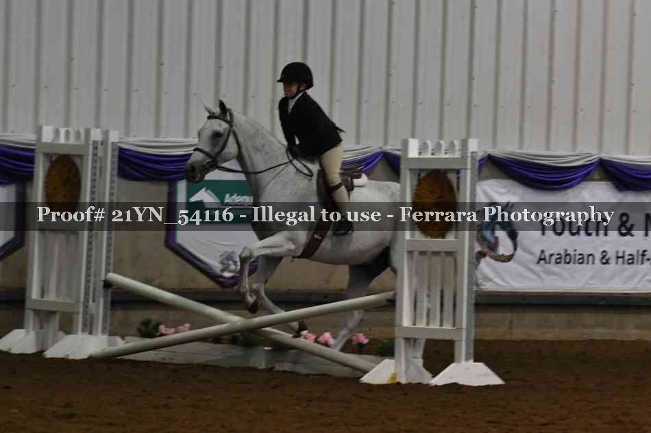 Proof Number 21YN_54116