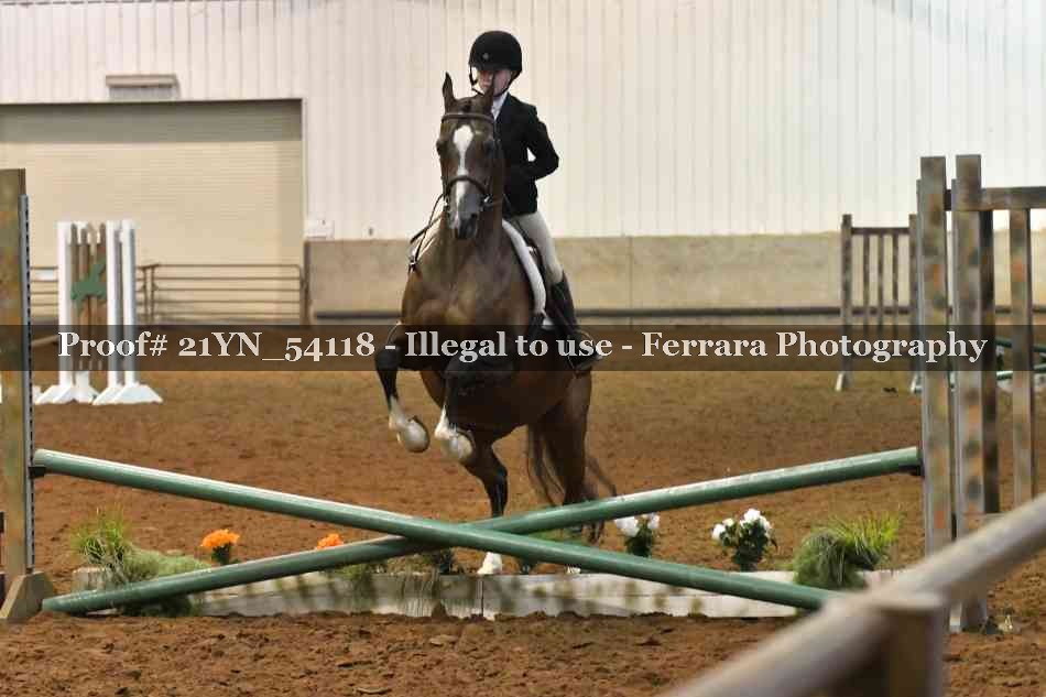 Proof Number 21YN_54118