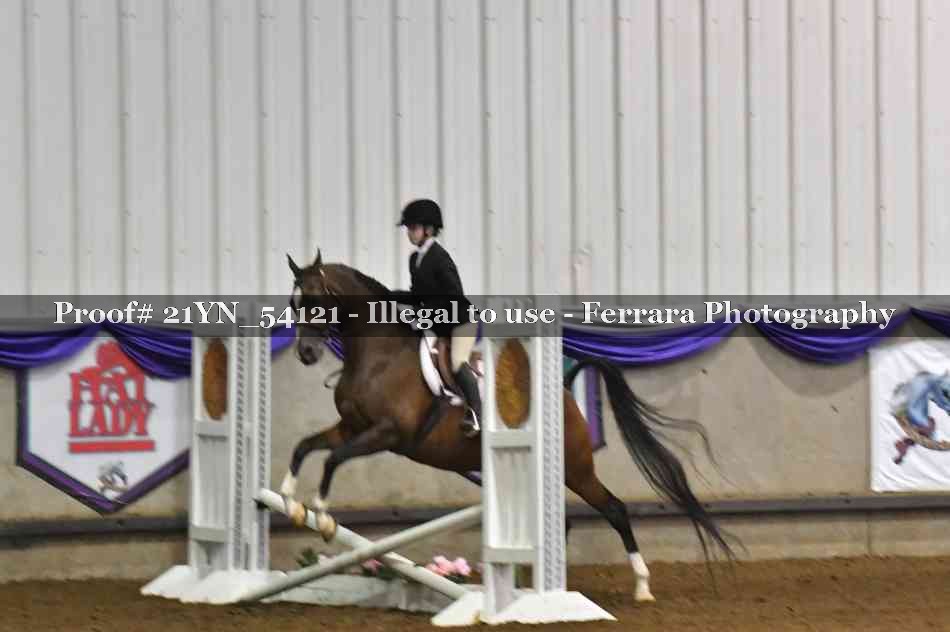 Proof Number 21YN_54121